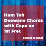 Elvish Yadav Hum Toh Deewane Guitar Chords with Capo on 1st Fret by Yasser Dessai