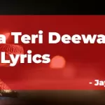 Kanha Teri Deewani Hindi Song Lyrics
