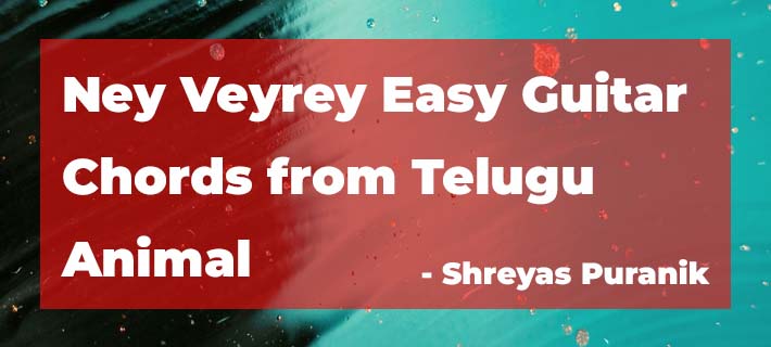 Ney Veyrey Easy Guitar Chords Lesson from Telugu Animal Movie