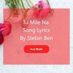 Stebin Ben Tu Mile Na Song Lyrics and Music by Anu Malik